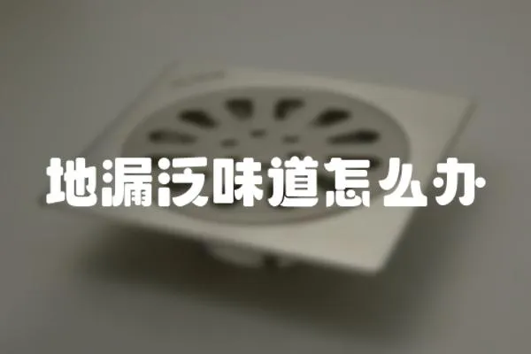 地漏泛味道怎么辦