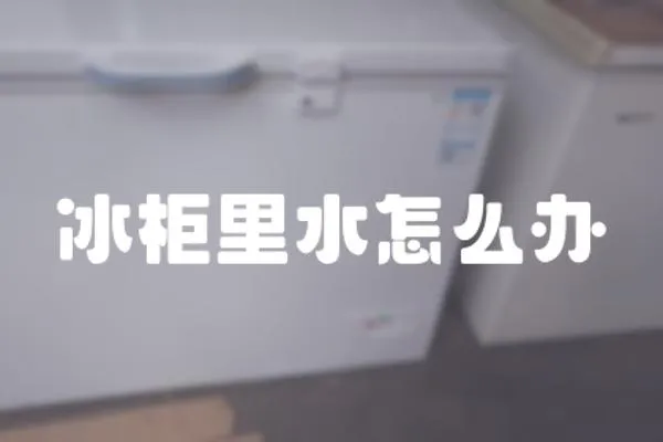 冰柜里水怎么辦