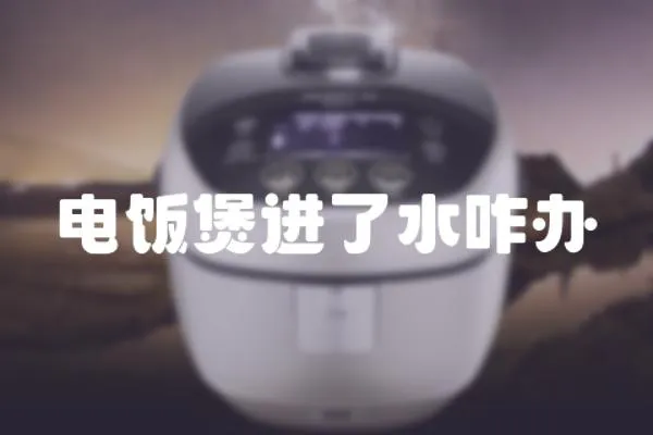 電飯煲進了水咋辦