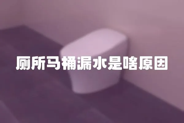 廁所馬桶漏水是啥原因