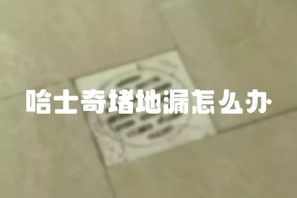 哈士奇堵地漏怎么辦