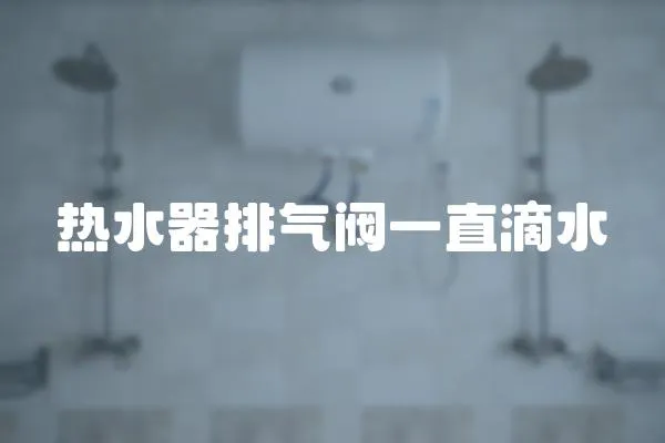 熱水器排氣閥一直滴水