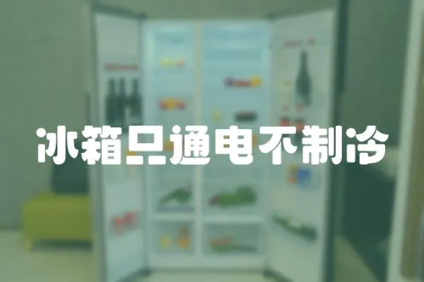 冰箱只通電不制冷