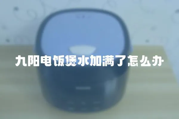 九陽電飯煲水加滿了怎么辦