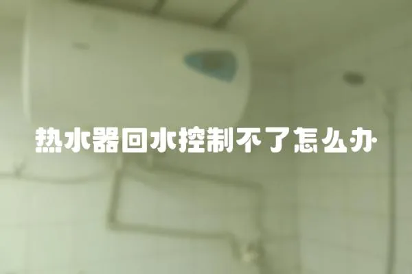 熱水器回水控制不了怎么辦