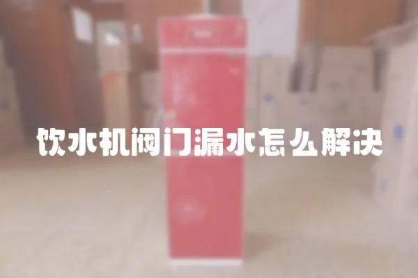 飲水機(jī)閥門(mén)漏水怎么解決