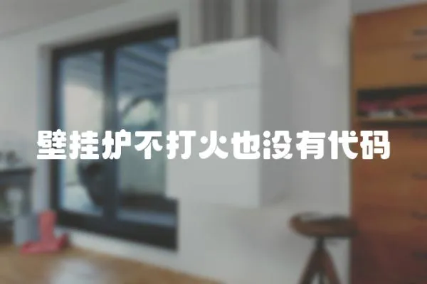 壁掛爐不打火也沒有代碼