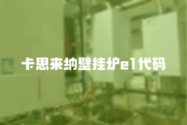 卡思來納壁掛爐e1代碼