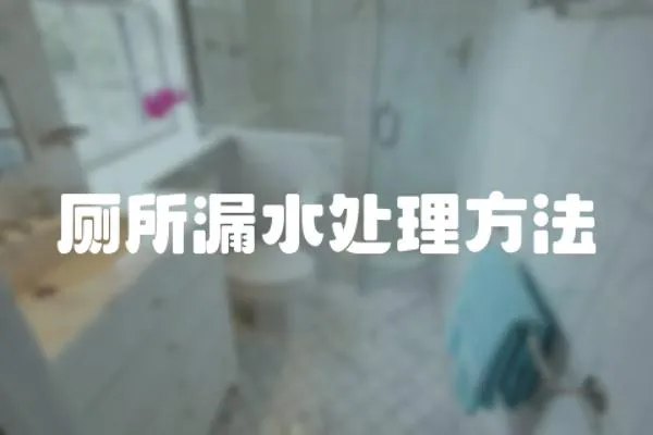 廁所漏水處理方法