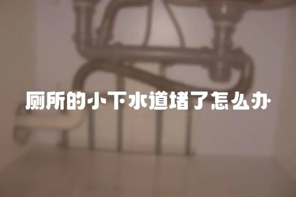 廁所的小下水道堵了怎么辦