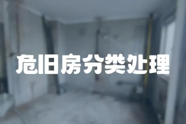 危舊房分類處理