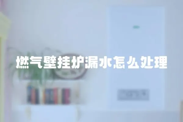 燃氣壁掛爐漏水怎么處理