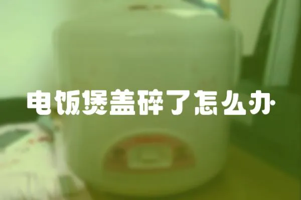 電飯煲蓋碎了怎么辦