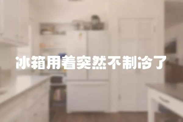 冰箱用着突然不制冷了