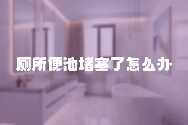 廁所便池堵塞了怎么辦