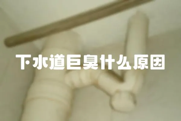 下水道巨臭什么原因