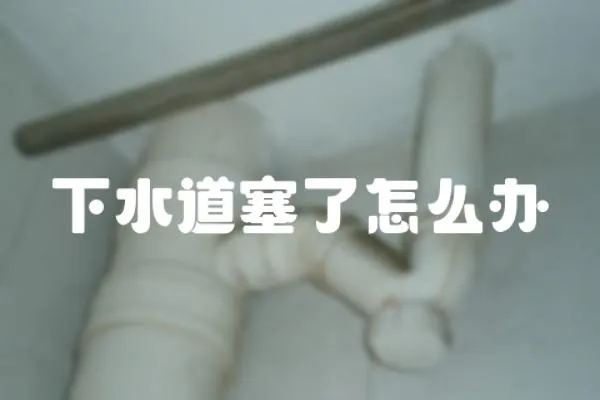 下水道塞了怎么辦