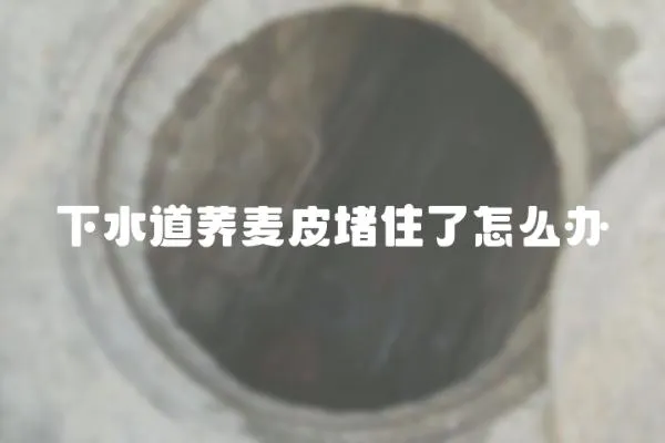 下水道蕎麥皮堵住了怎么辦
