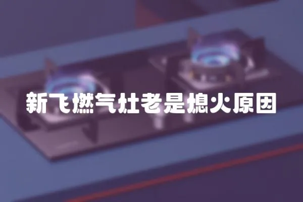 新飛燃?xì)庠罾鲜窍ɑ鹪?></a></div>
                    <div   id=