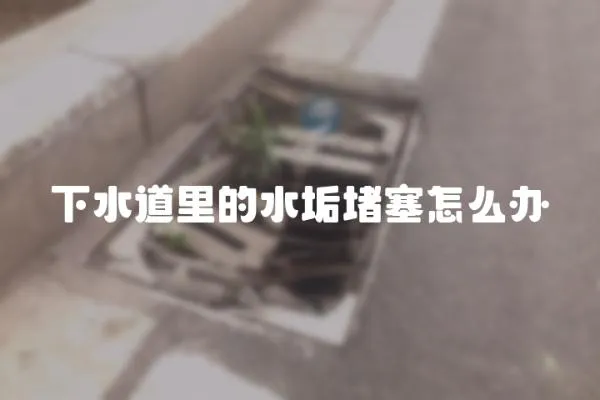 下水道里的水垢堵塞怎么辦
