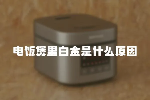 電飯煲里白金是什么原因