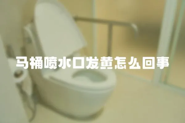 馬桶噴水口發(fā)黃怎么回事