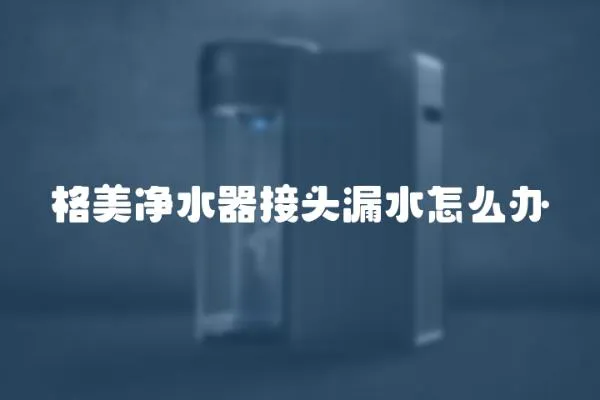 格美凈水器接頭漏水怎么辦