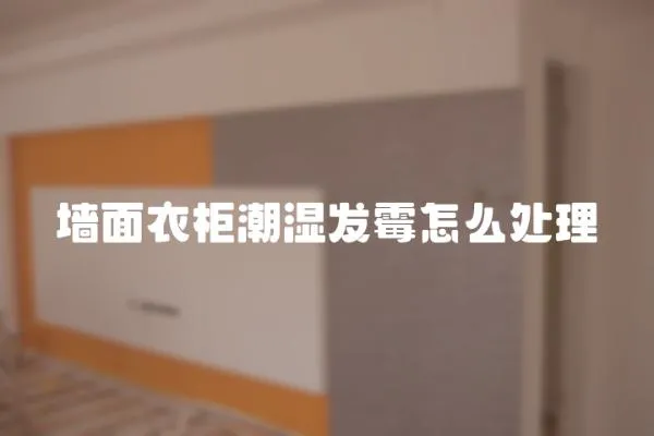 墻面衣柜潮濕發霉怎么處理