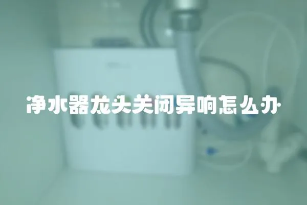 凈水器龍頭關閉異響怎么辦