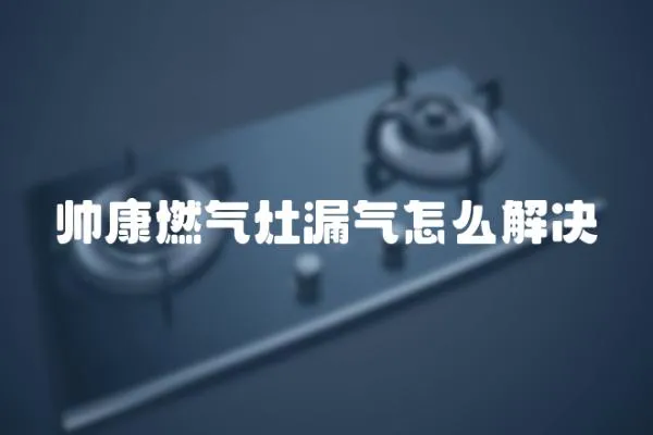 帥康燃氣灶漏氣怎么解決