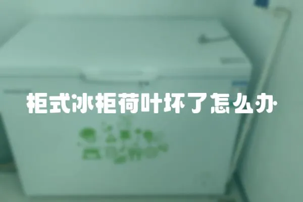 柜式冰柜荷葉壞了怎么辦