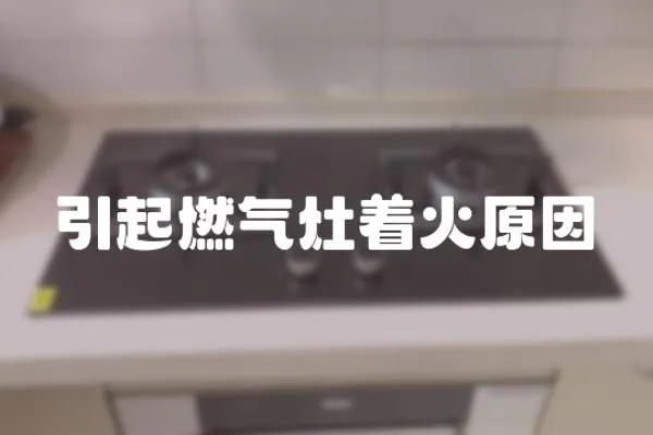 引起燃?xì)庠钪鹪?></a></div>
                    <div   id=