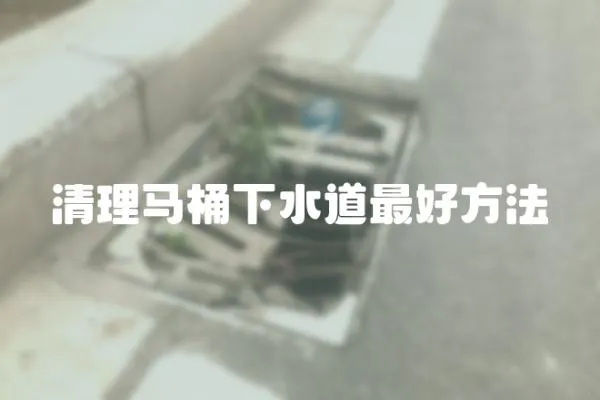 清理馬桶下水道最好方法