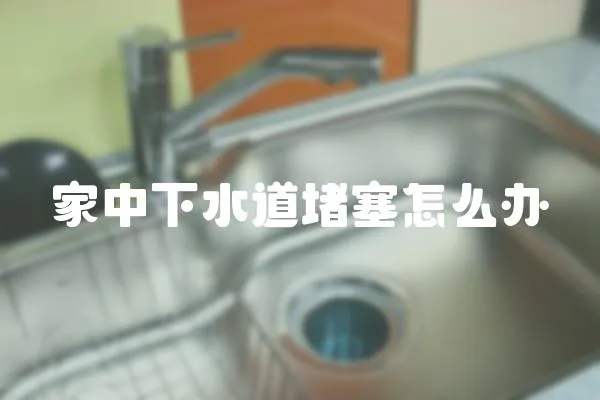 家中下水道堵塞怎么辦