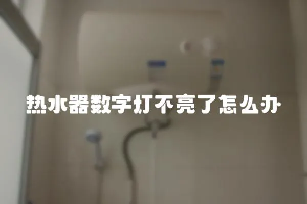 熱水器數字燈不亮了怎么辦