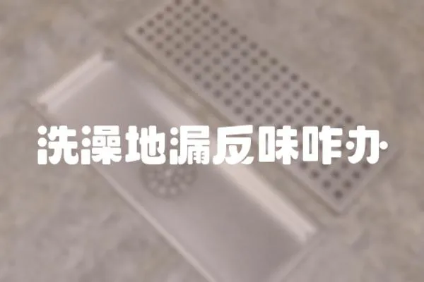 洗澡地漏反味咋辦