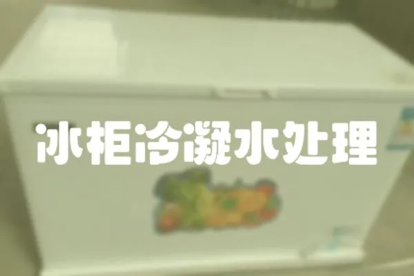 冰柜冷凝水處理