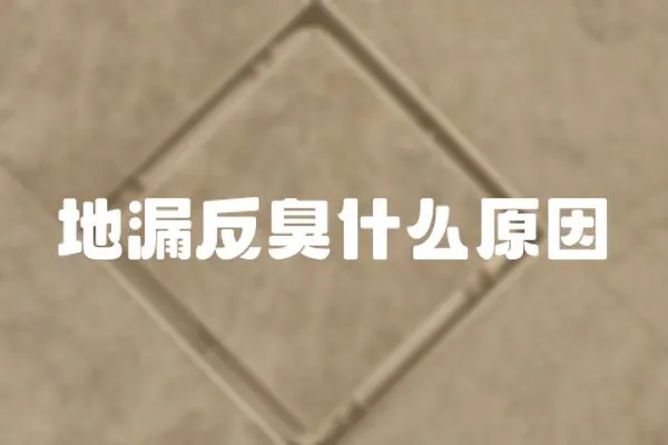 地漏反臭什么原因