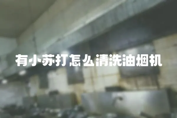 有小蘇打怎么清洗油煙機