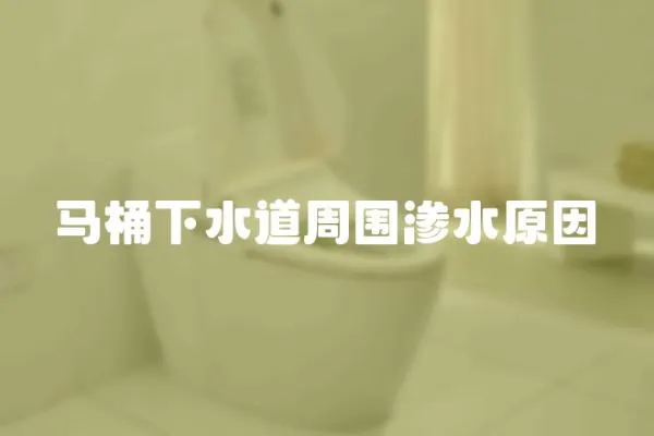 馬桶下水道周圍滲水原因