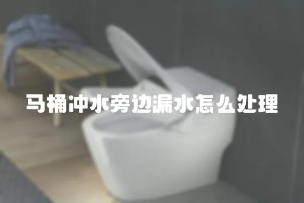 馬桶沖水旁邊漏水怎么處理