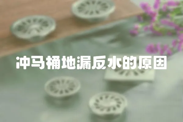 沖馬桶地漏反水的原因