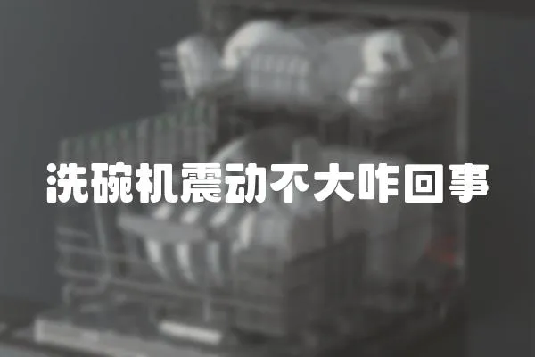 洗碗機震動不大咋回事
