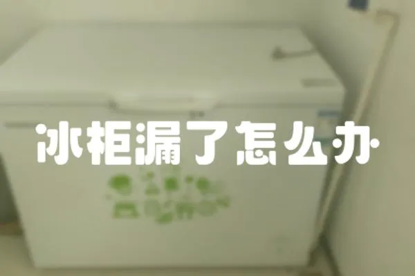 冰柜漏了怎么辦