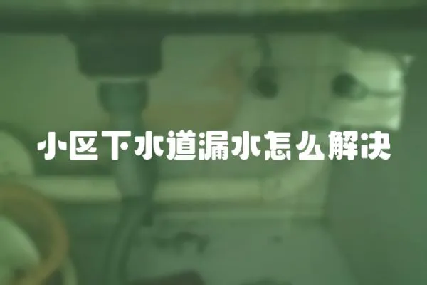 小區(qū)下水道漏水怎么解決