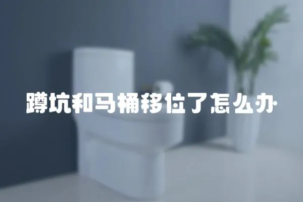 蹲坑和馬桶移位了怎么辦
