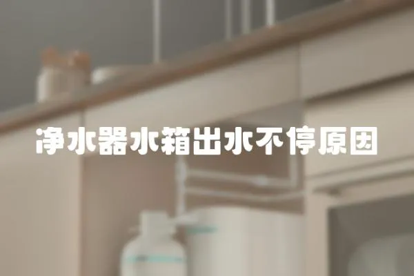 凈水器水箱出水不停原因