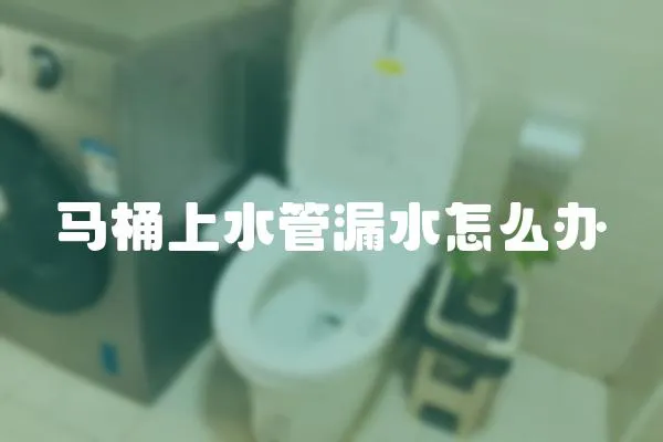 馬桶上水管漏水怎么辦