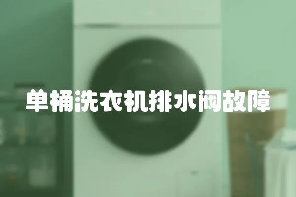單桶洗衣機排水閥故障