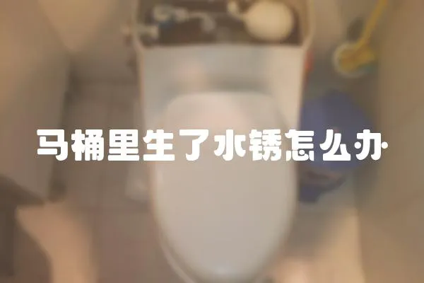 馬桶里生了水銹怎么辦